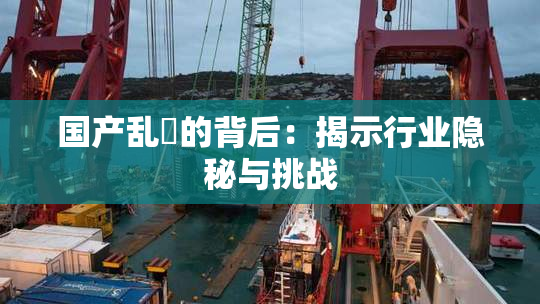 国产乱婬的背后：揭示行业隐秘与挑战