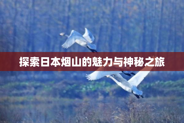 探索日本烟山的魅力与神秘之旅