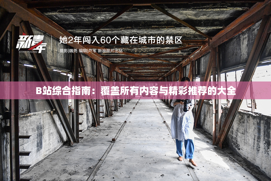 B站综合指南：覆盖所有内容与精彩推荐的大全