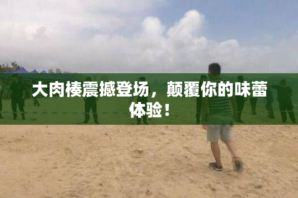大肉楱震撼登场，颠覆你的味蕾体验！