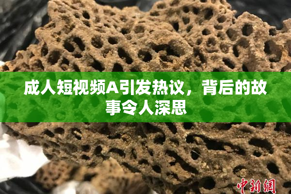 成人短视频A引发热议，背后的故事令人深思