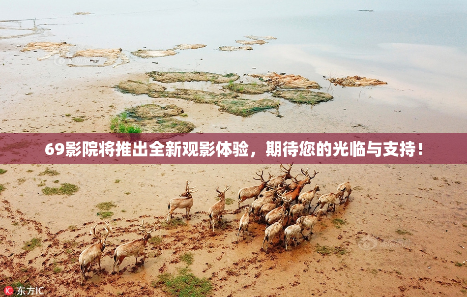 69影院将推出全新观影体验，期待您的光临与支持！