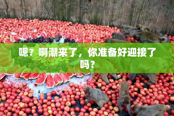 嗯？啊潮来了，你准备好迎接了吗？