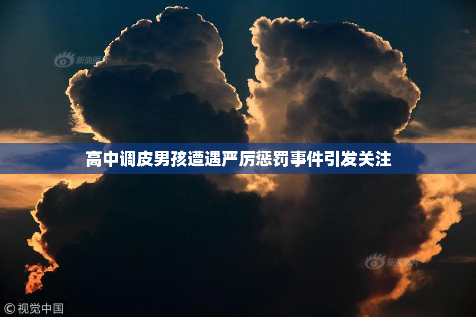 高中调皮男孩遭遇严厉惩罚事件引发关注
