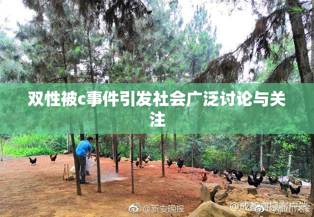 双性被c事件引发社会广泛讨论与关注