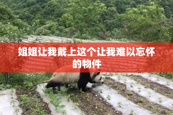姐姐让我戴上这个让我难以忘怀的物件