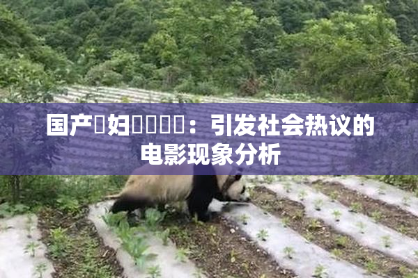 国产婬妇❌‌❌‌：引发社会热议的电影现象分析