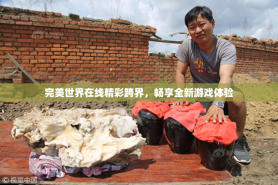 完美世界在线精彩跨界，畅享全新游戏体验