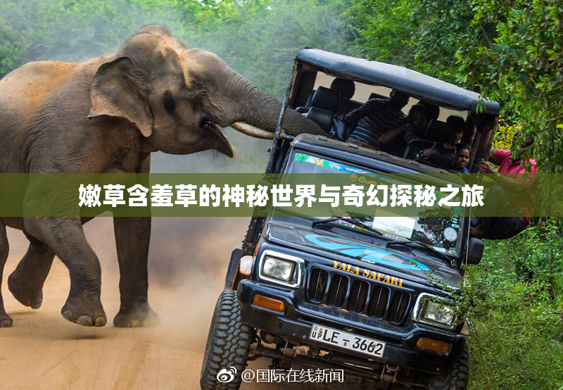 嫩草含羞草的神秘世界与奇幻探秘之旅