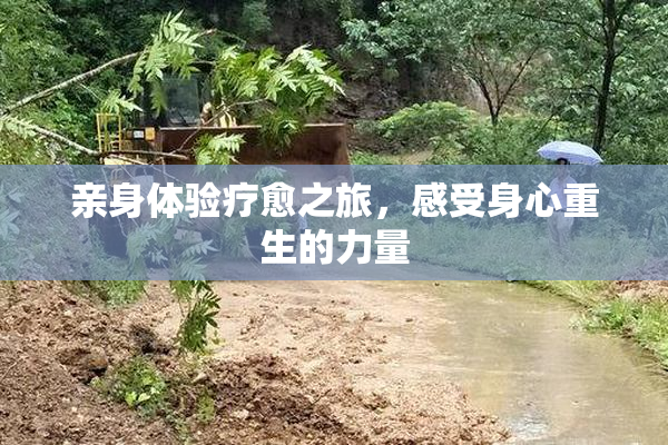 亲身体验疗愈之旅，感受身心重生的力量