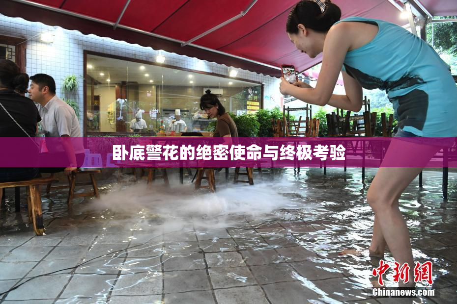 卧底警花的绝密使命与终极考验