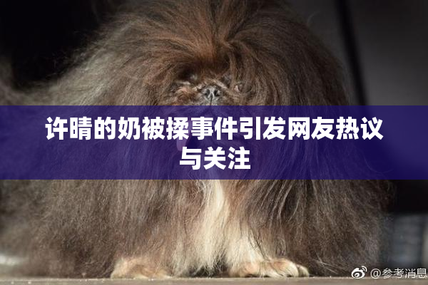 许晴的奶被揉事件引发网友热议与关注