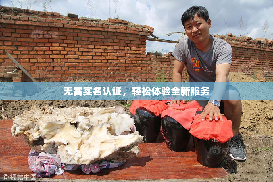 无需实名认证，轻松体验全新服务
