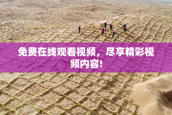 免费在线观看视频，尽享精彩视频内容!