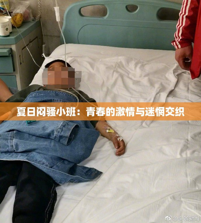 夏日闷骚小班：青春的激情与迷惘交织