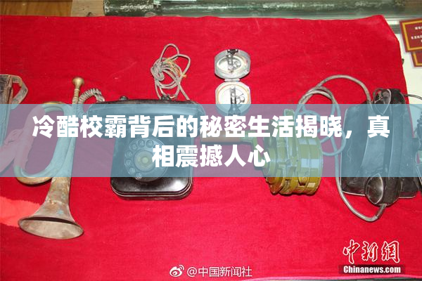 冷酷校霸背后的秘密生活揭晓，真相震撼人心