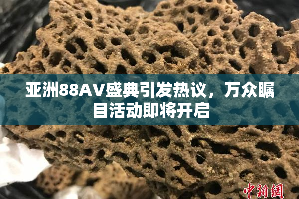 亚洲88AV盛典引发热议，万众瞩目活动即将开启