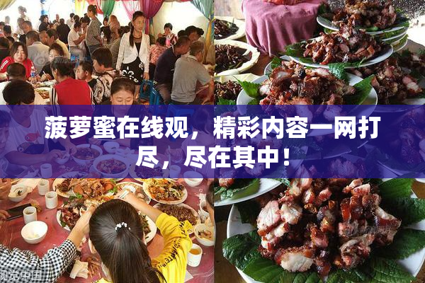 菠萝蜜在线观，精彩内容一网打尽，尽在其中！