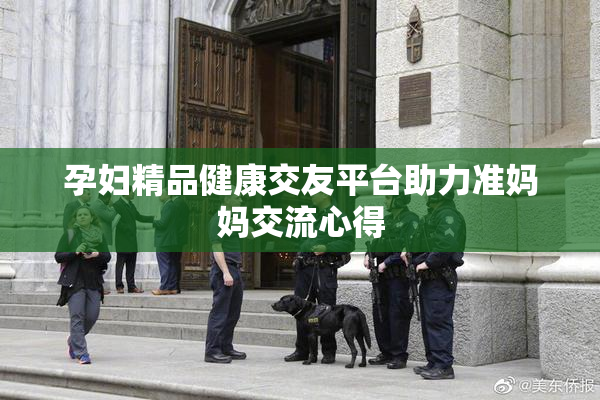 孕妇精品健康交友平台助力准妈妈交流心得