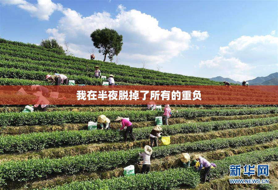 我在半夜脱掉了所有的重负