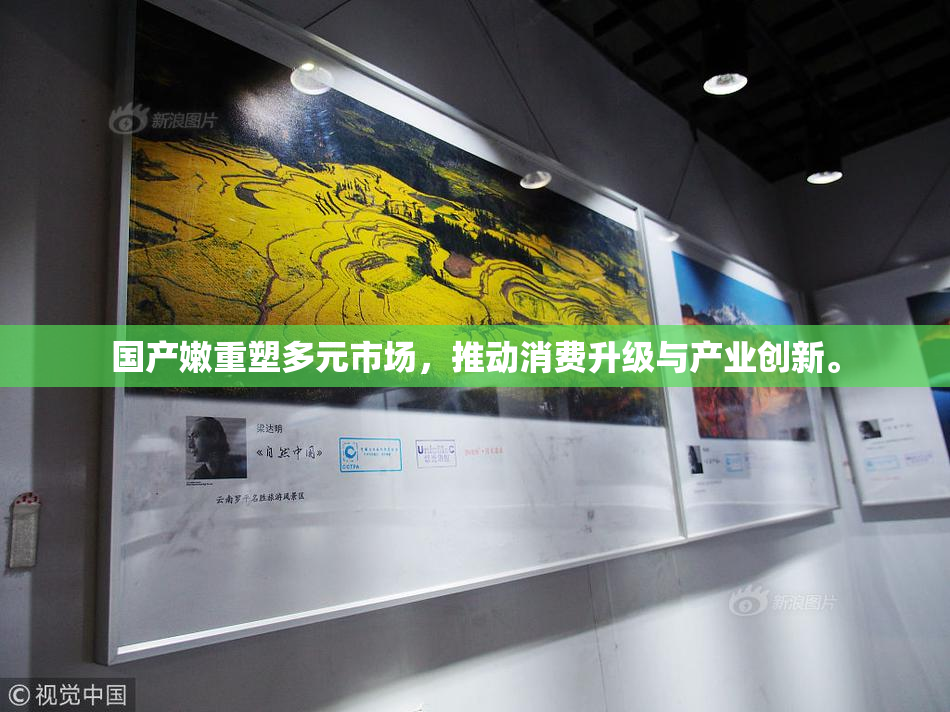 国产嫩重塑多元市场，推动消费升级与产业创新。