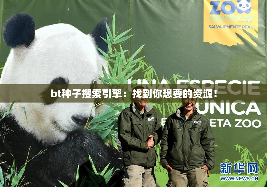 bt种子搜索引擎：找到你想要的资源！
