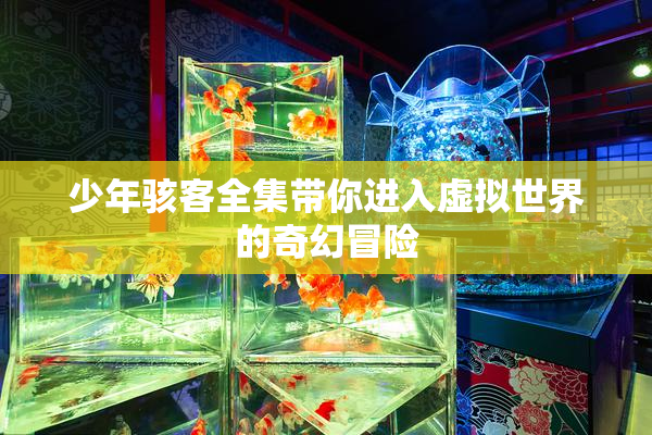 少年骇客全集带你进入虚拟世界的奇幻冒险