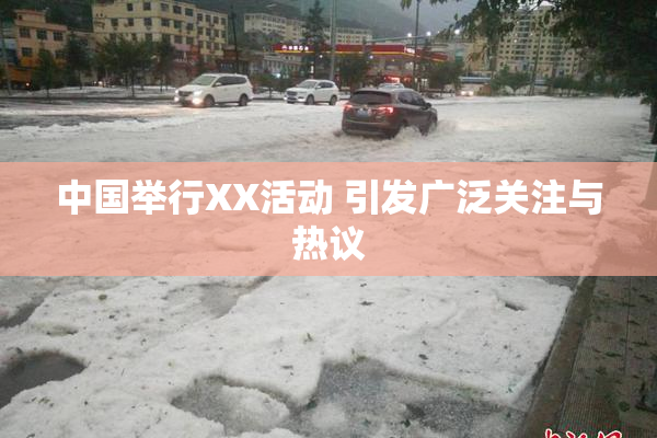 中国举行XX活动 引发广泛关注与热议
