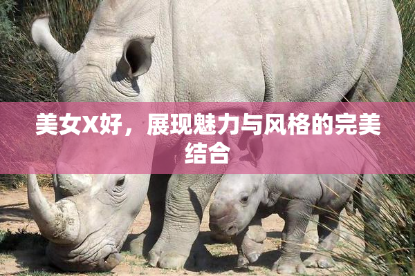 美女X好，展现魅力与风格的完美结合