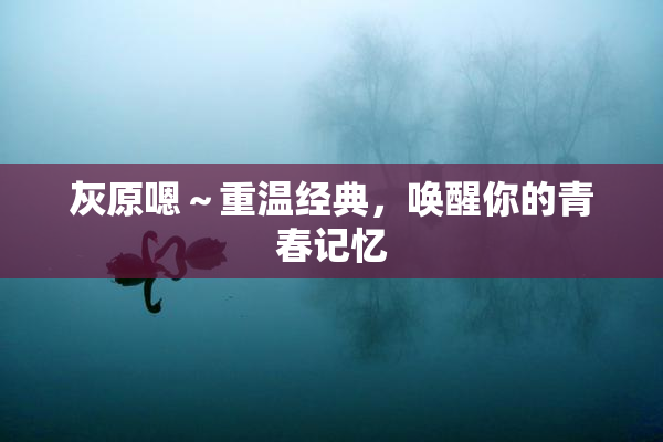 灰原嗯～重温经典，唤醒你的青春记忆