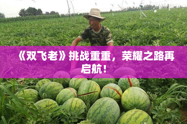 《双飞老》挑战重重，荣耀之路再启航！