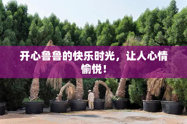 开心鲁鲁的快乐时光，让人心情愉悦！