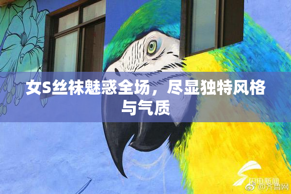 女S丝袜魅惑全场，尽显独特风格与气质