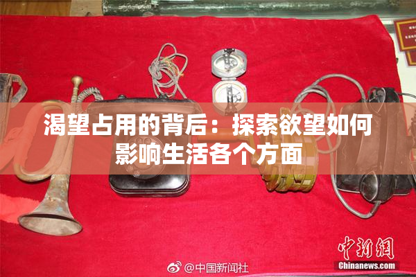 渴望占用的背后：探索欲望如何影响生活各个方面