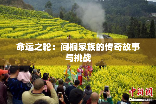 命运之轮：间桐家族的传奇故事与挑战
