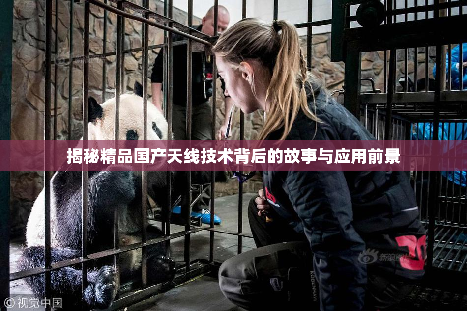 揭秘精品国产天线技术背后的故事与应用前景