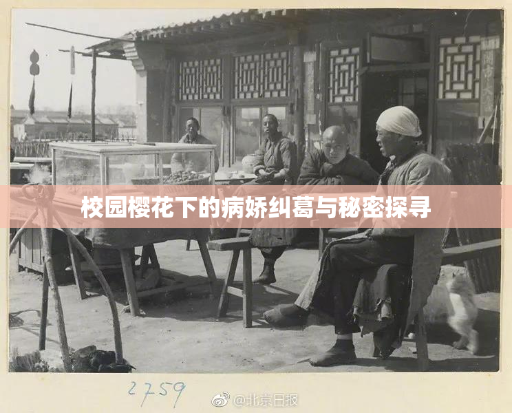 校园樱花下的病娇纠葛与秘密探寻