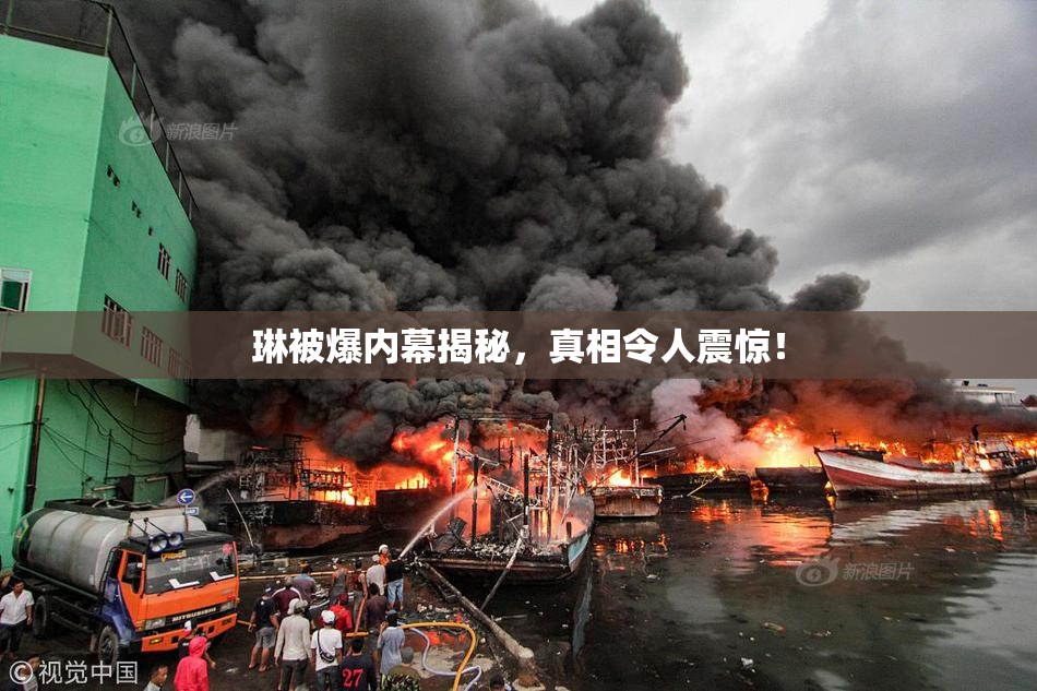 琳被爆内幕揭秘，真相令人震惊！