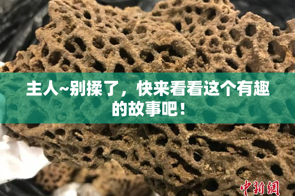 主人~别揉了，快来看看这个有趣的故事吧！