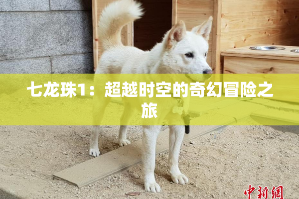 七龙珠1：超越时空的奇幻冒险之旅