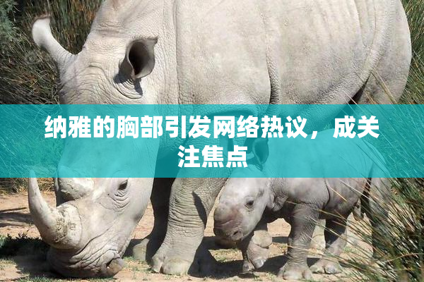 纳雅的胸部引发网络热议，成关注焦点