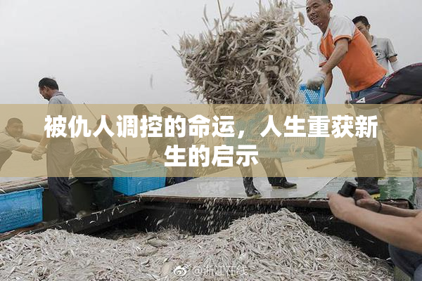 被仇人调控的命运，人生重获新生的启示