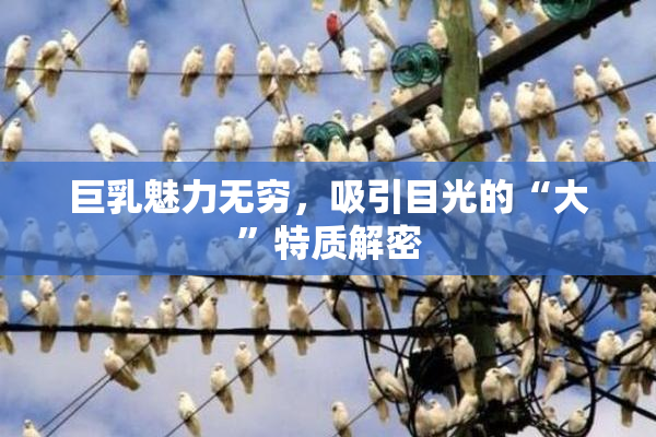 巨乳魅力无穷，吸引目光的“大”特质解密