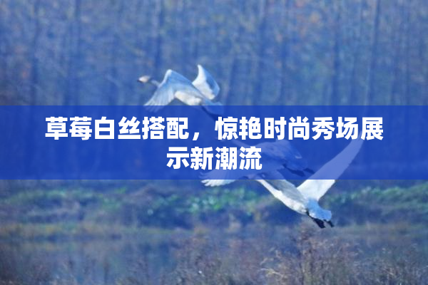 草莓白丝搭配，惊艳时尚秀场展示新潮流