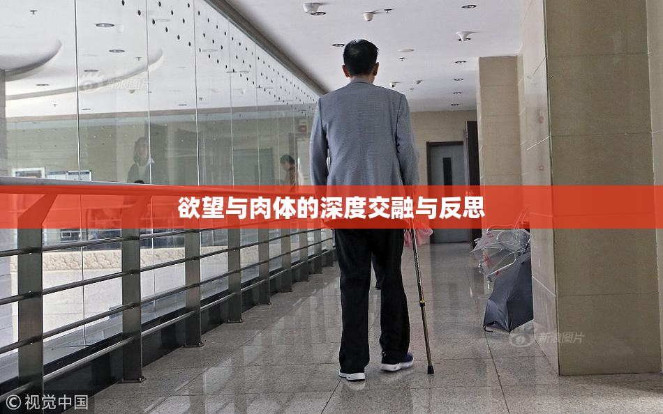 欲望与肉体的深度交融与反思