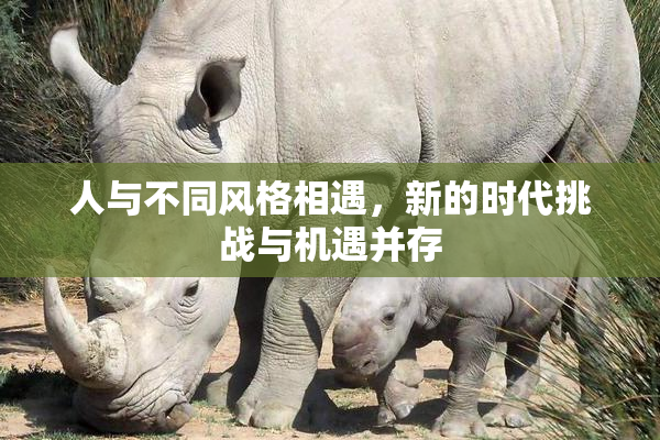 人与不同风格相遇，新的时代挑战与机遇并存