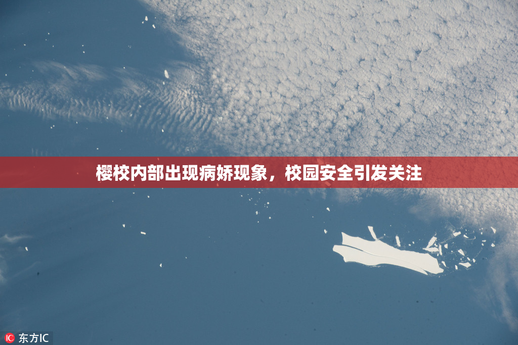 樱校内部出现病娇现象，校园安全引发关注