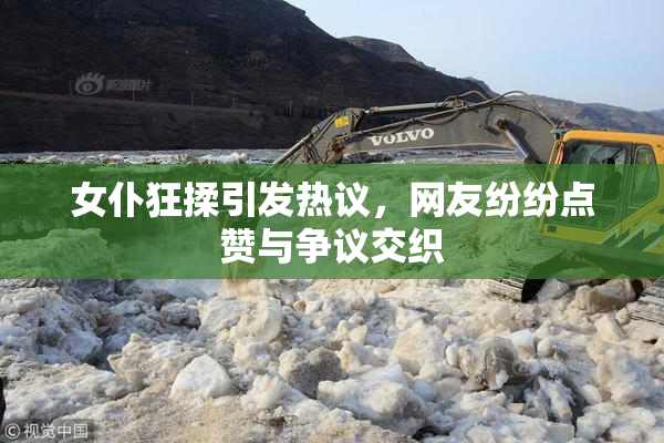 女仆狂揉引发热议，网友纷纷点赞与争议交织