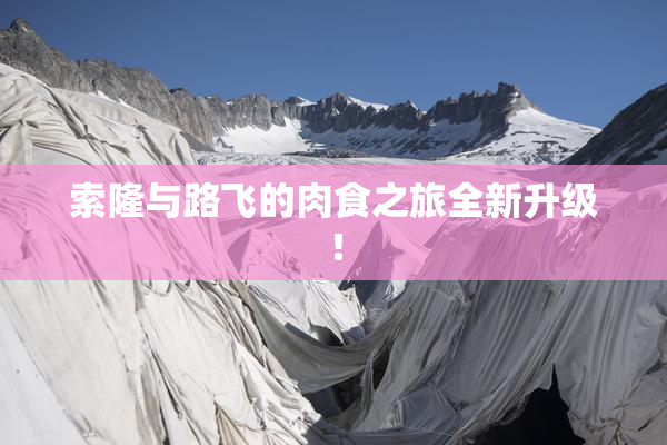 索隆与路飞的肉食之旅全新升级！