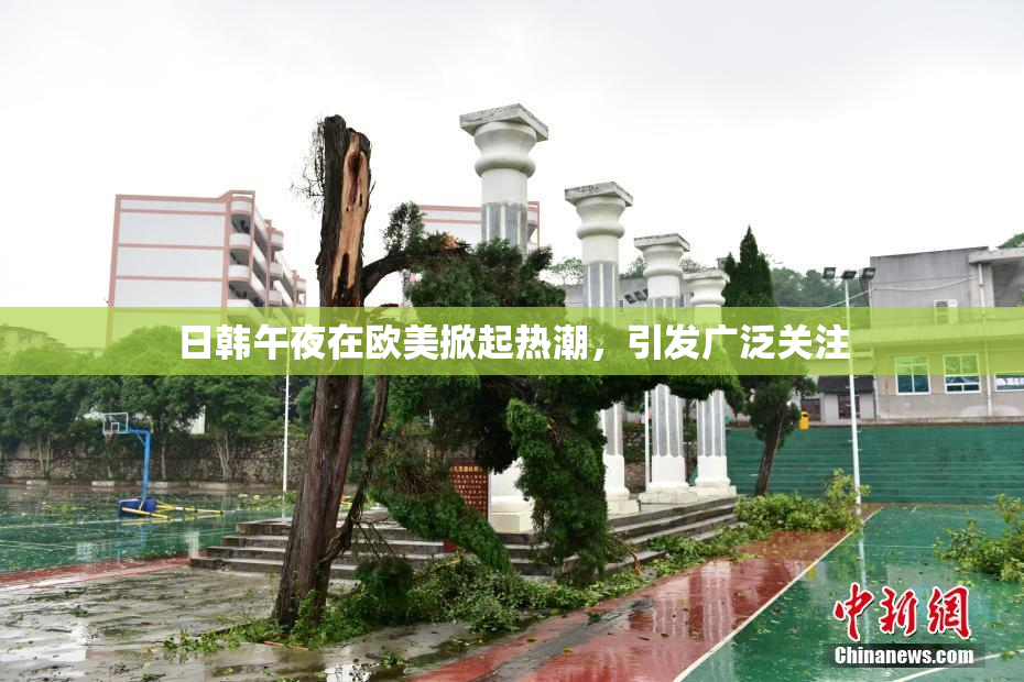 日韩午夜在欧美掀起热潮，引发广泛关注